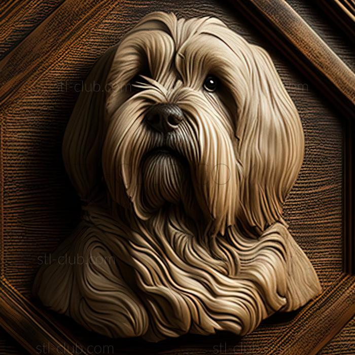 st Tibetan Terrier dog